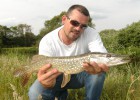 Brochet de rivière , pris a vue lors d'un repérage poste carpe 