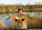 peche rapide