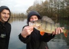 Journée carnassier à l'étang sauvage