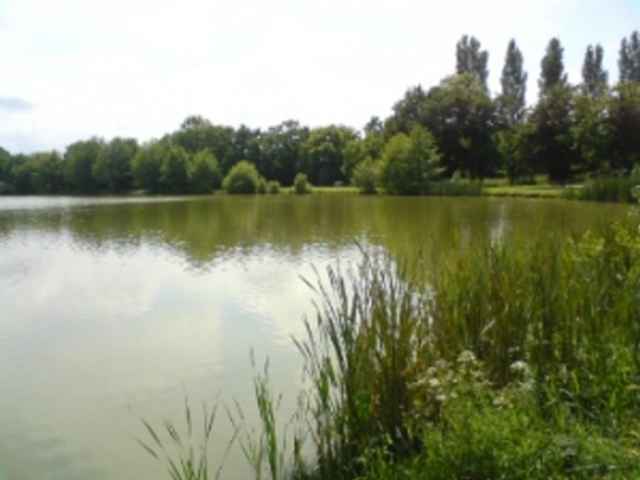 Etang communal du Guichalet