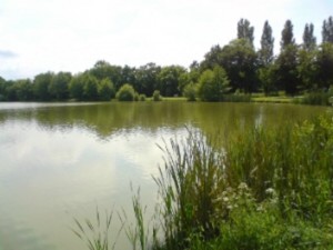 Etang communal du Guichalet Etang communal du Guichalet