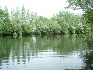 L'étang sauvage L'étang sauvage